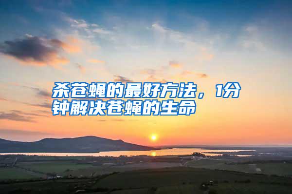 殺蒼蠅的最好方法，1分鐘解決蒼蠅的生命