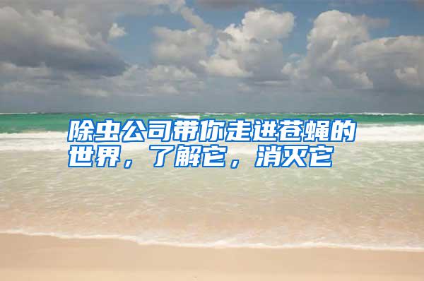 除蟲公司帶你走進(jìn)蒼蠅的世界，了解它，消滅它