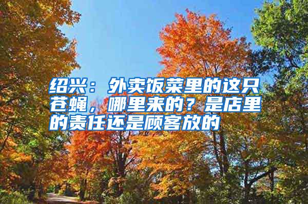 紹興：外賣飯菜里的這只蒼蠅，哪里來的？是店里的責任還是顧客放的