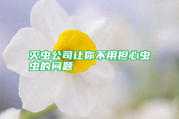 滅蟲公司讓你不用擔(dān)心蟲蟲的問(wèn)題