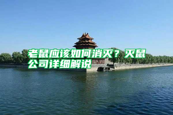 老鼠應該如何消滅？滅鼠公司詳細解說