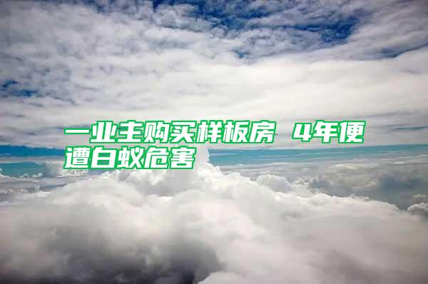 一業主購買樣板房 4年便遭白蟻危害