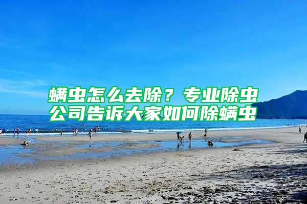 螨蟲怎么去除？專業除蟲公司告訴大家如何除螨蟲