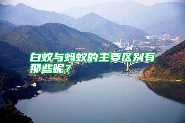 白蟻與螞蟻的主要區(qū)別有那些呢？