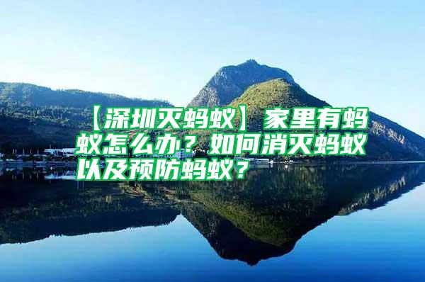 【深圳滅螞蟻】家里有螞蟻怎么辦？如何消滅螞蟻以及預防螞蟻？