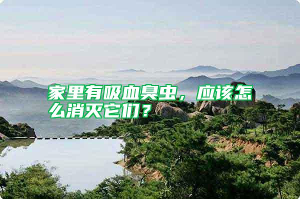 家里有吸血臭蟲(chóng)，應(yīng)該怎么消滅它們？