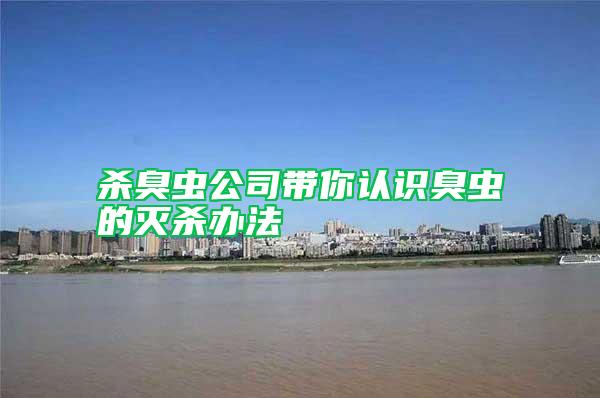 殺臭蟲公司帶你認(rèn)識臭蟲的滅殺辦法