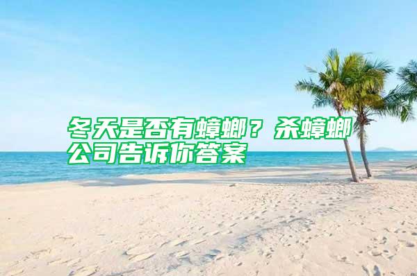 冬天是否有蟑螂？殺蟑螂公司告訴你答案