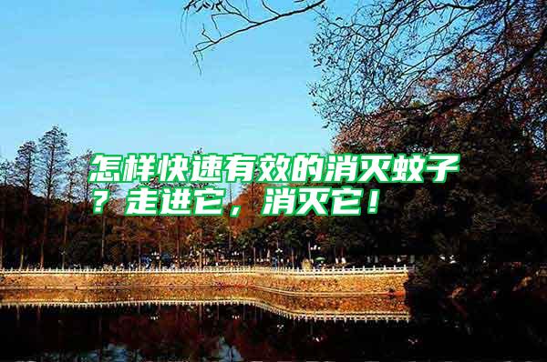 怎樣快速有效的消滅蚊子？走進它，消滅它！