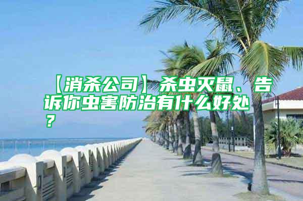 【消殺公司】殺蟲滅鼠、告訴你蟲害防治有什么好處？