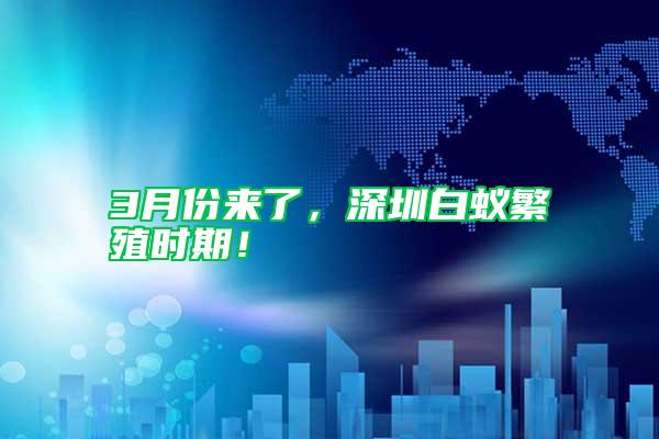 3月份來了，深圳白蟻繁殖時期！