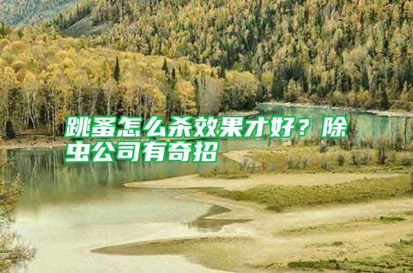 跳蚤怎么殺效果才好?除蟲公司有奇招