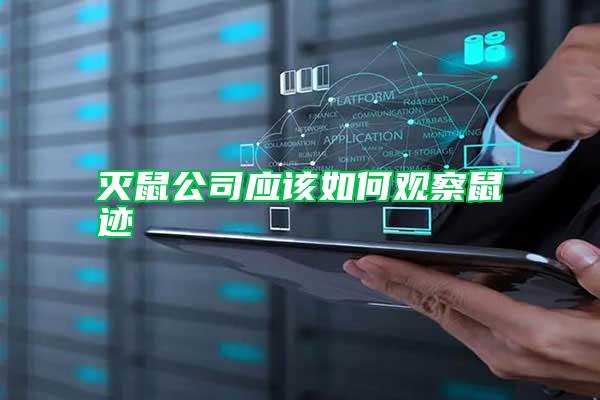 滅鼠公司應該如何觀察鼠跡