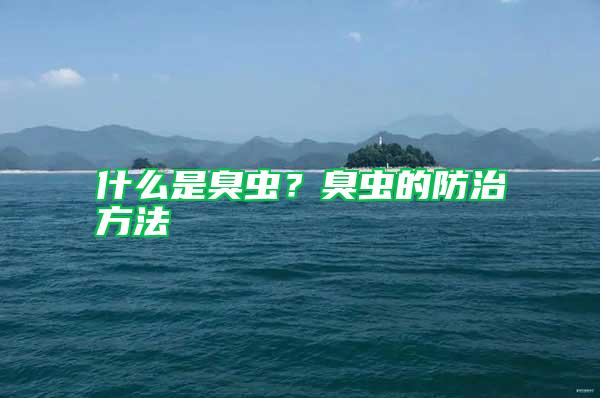 什么是臭蟲?臭蟲的防治方法