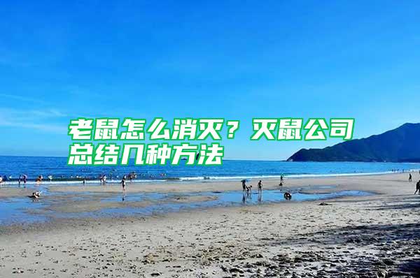 老鼠怎么消滅？滅鼠公司總結幾種方法