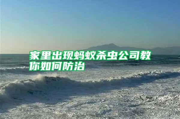 家里出現(xiàn)螞蟻殺蟲公司教你如何防治
