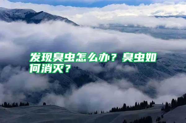 發現臭蟲怎么辦？臭蟲如何消滅？