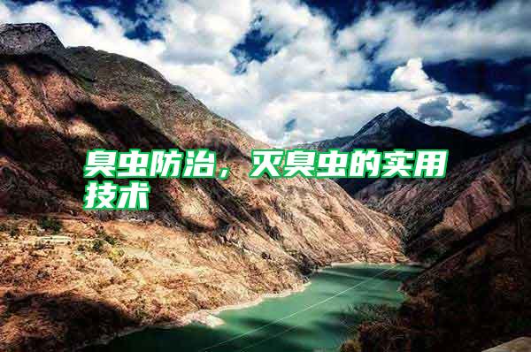 臭蟲防治，滅臭蟲的實(shí)用技術(shù)