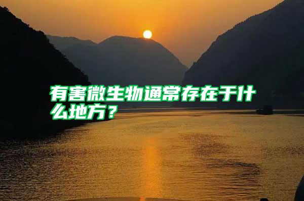 有害微生物通常存在于什么地方？