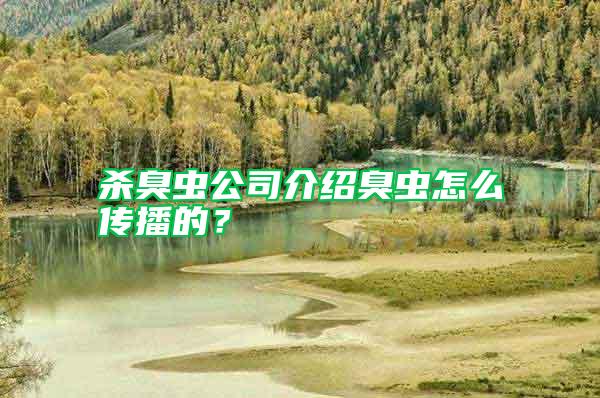 殺臭蟲(chóng)公司介紹臭蟲(chóng)怎么傳播的？