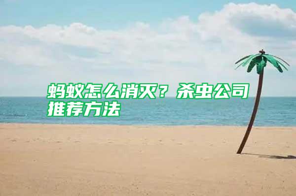 螞蟻怎么消滅？殺蟲(chóng)公司推薦方法