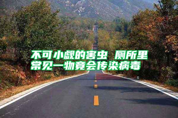 不可小覷的害蟲 廁所里常見一物竟會傳染病毒