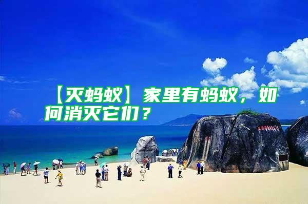 【滅螞蟻】家里有螞蟻,如何消滅它們?