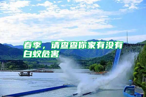 春季，請查查你家有沒有白蟻危害