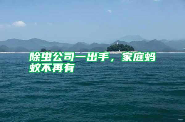 除蟲公司一出手，家庭螞蟻不再有