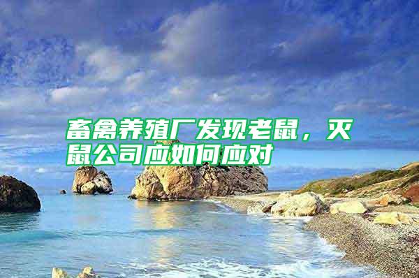 畜禽養(yǎng)殖廠發(fā)現(xiàn)老鼠，滅鼠公司應(yīng)如何應(yīng)對(duì)