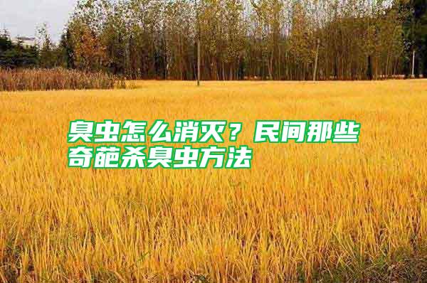 臭蟲怎么消滅？民間那些奇葩殺臭蟲方法