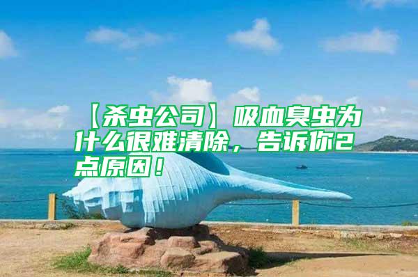 【殺蟲(chóng)公司】吸血臭蟲(chóng)為什么很難清除，告訴你2點(diǎn)原因！