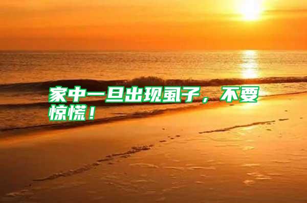 家中一旦出現虱子，不要驚慌！