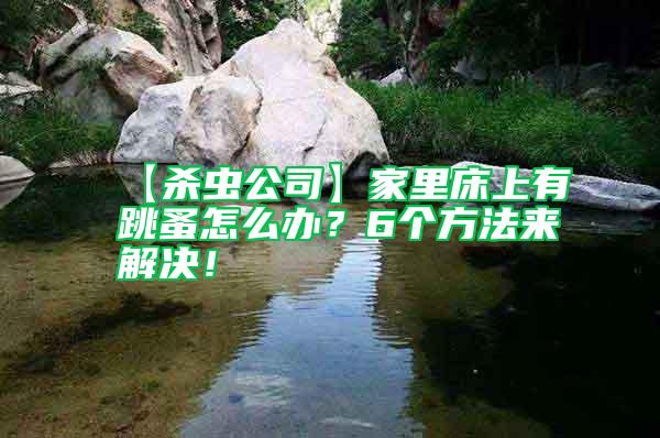 【殺蟲公司】家里床上有跳蚤怎么辦？6個方法來解決！