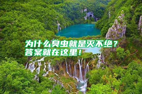 為什么臭蟲(chóng)就是滅不絕？答案就在這里！