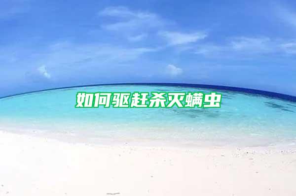 如何驅(qū)趕殺滅螨蟲