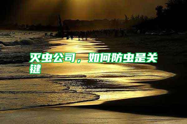 滅蟲公司，如何防蟲是關(guān)鍵