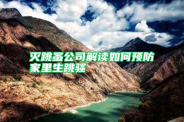 滅跳蚤公司解讀如何預防家里生跳騷