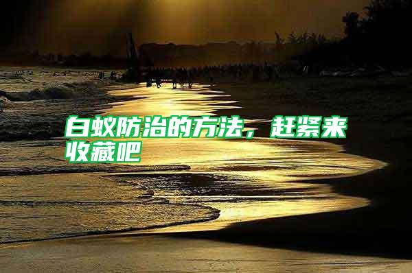 白蟻防治的方法，趕緊來收藏吧