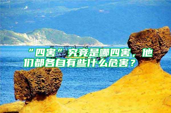 “四害”究競(jìng)是哪四害，他們都各自有些什么危害？