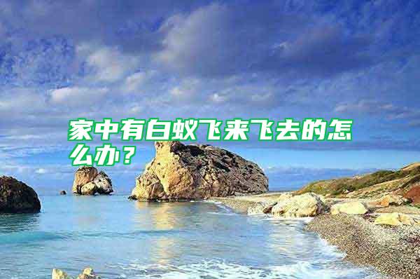 家中有白蟻飛來飛去的怎么辦？