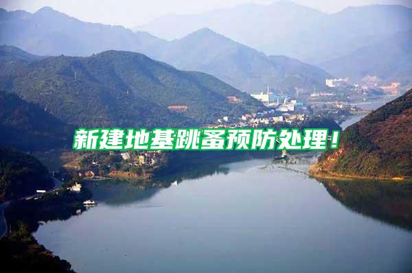 新建地基跳蚤預(yù)防處理！