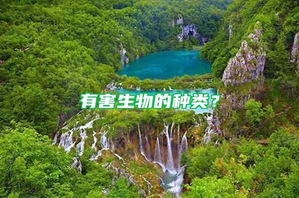 有害生物的種類？