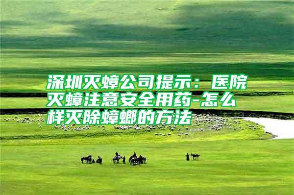 深圳滅蟑公司提示：醫院滅蟑注意安全用藥-怎么樣滅除蟑螂的方法