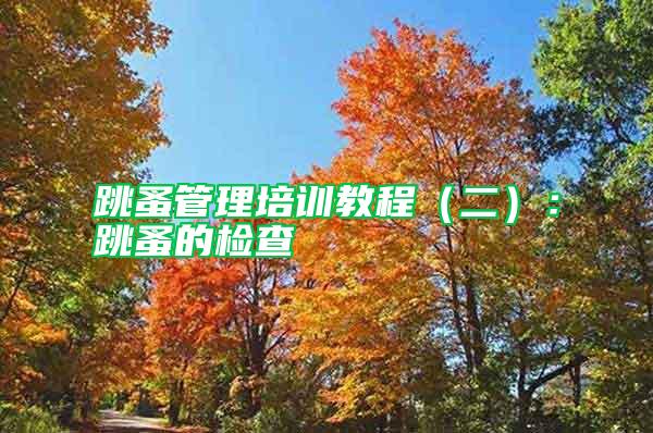 跳蚤管理培訓(xùn)教程(二):跳蚤的檢查