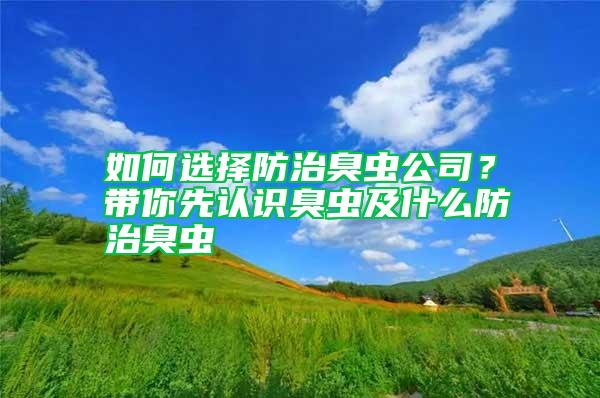 如何選擇防治臭蟲公司？帶你先認識臭蟲及什么防治臭蟲