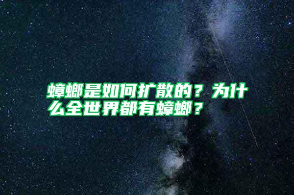 蟑螂是如何擴散的？為什么全世界都有蟑螂？