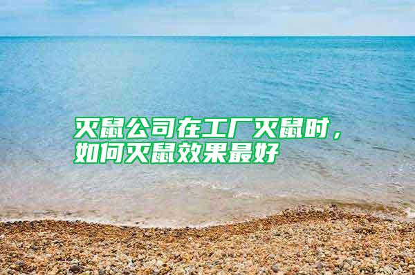 滅鼠公司在工廠滅鼠時，如何滅鼠效果最好