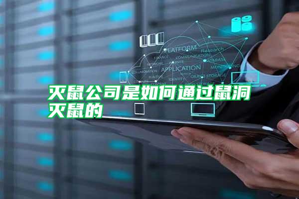 滅鼠公司是如何通過鼠洞滅鼠的