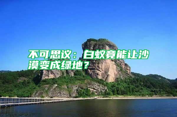 不可思議:白蟻竟能讓沙漠變成綠地?